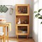 Natural Wicker Acrylic 3-Cube Cabinet Display Storage with Clear Doors